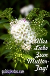 gaidaphotos Kostenlose Muttertagskarte